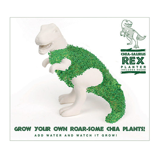 CHIA-SAURUS REX PLANTER